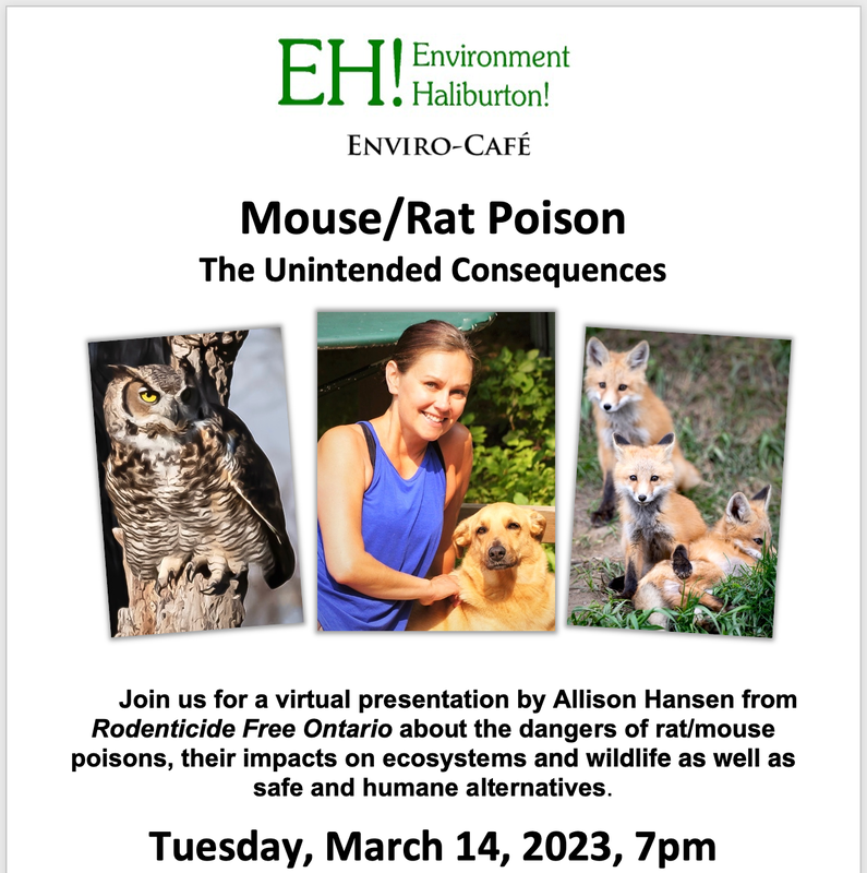 Mouse/Rat Poison The Unintended Consequences Event Poster